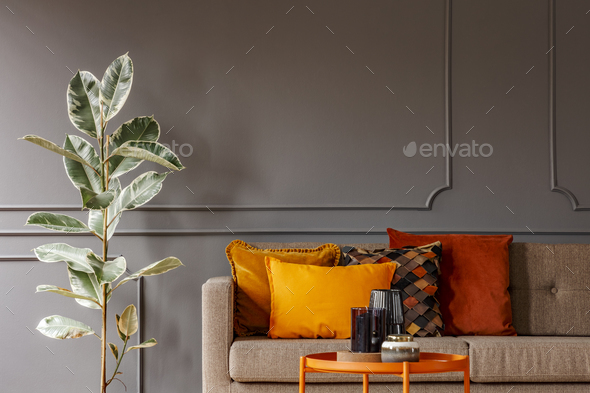 Ficus next to brown sofa with orange pillows in grey living room